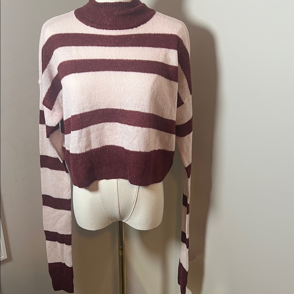 NWOT Lovers + Friends Burgundy and Pink Striped Sweater